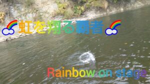 北海道 渓流釣り 豊平川 秋の渓流に潜む野生の塊 虹を翔る覇者あらわる