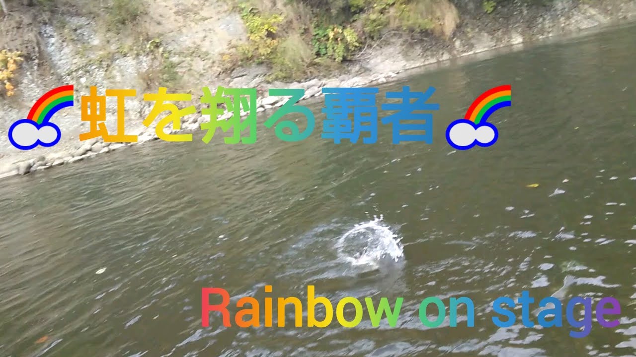 北海道 渓流釣り 豊平川 秋の渓流に潜む野生の塊 虹を翔る覇者あらわる