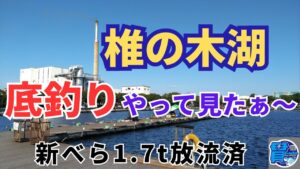 ⚡新べら放流済み『椎の木湖』底釣りやって見たぁ～✨