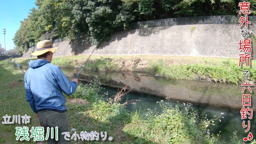 意外な場所で六目釣り♪  〇〇釣れたー！ 立川市 残堀川で小物釣り。