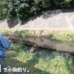 意外な場所で六目釣り♪  〇〇釣れたー！ 立川市 残堀川で小物釣り。