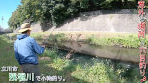 意外な場所で六目釣り♪  〇〇釣れたー！ 立川市 残堀川で小物釣り。