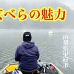 大型へらぶな釣りの魅力 秋の気配を感じる千代田湖でへらぶな釣り