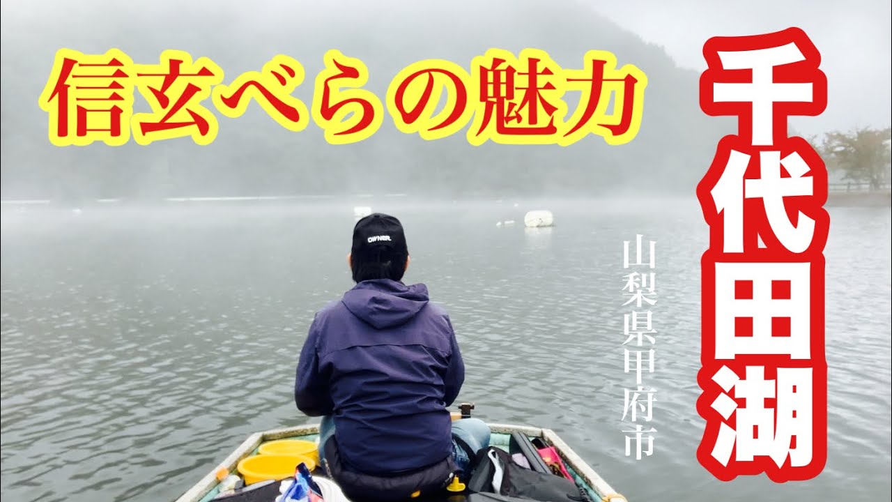 大型へらぶな釣りの魅力 秋の気配を感じる千代田湖でへらぶな釣り