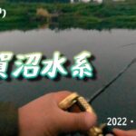 【バス釣り】手賀沼水系　大津川　何とか釣れました・・　おまけは何時もの彼です