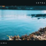 こんな日もあるよね【なら山沼漁場】【管理釣り場】【エリアトラウト】