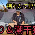 秋の浜名湖渚園釣りキャンプ！遠州灘サーフ＆浜名湖釣り＆潮干狩り🔥獲れたて全部さばいて食べる贅沢野営飯🔥