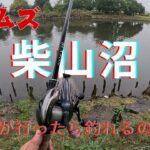 【柴山沼　埼玉の琵琶湖】激ムズの沼でバス釣り からの近くの野池に行ってみた #willitbite #バス釣り