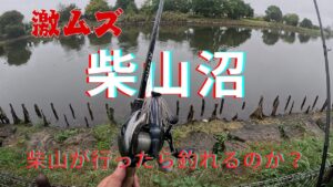 【柴山沼　埼玉の琵琶湖】激ムズの沼でバス釣り からの近くの野池に行ってみた #willitbite #バス釣り