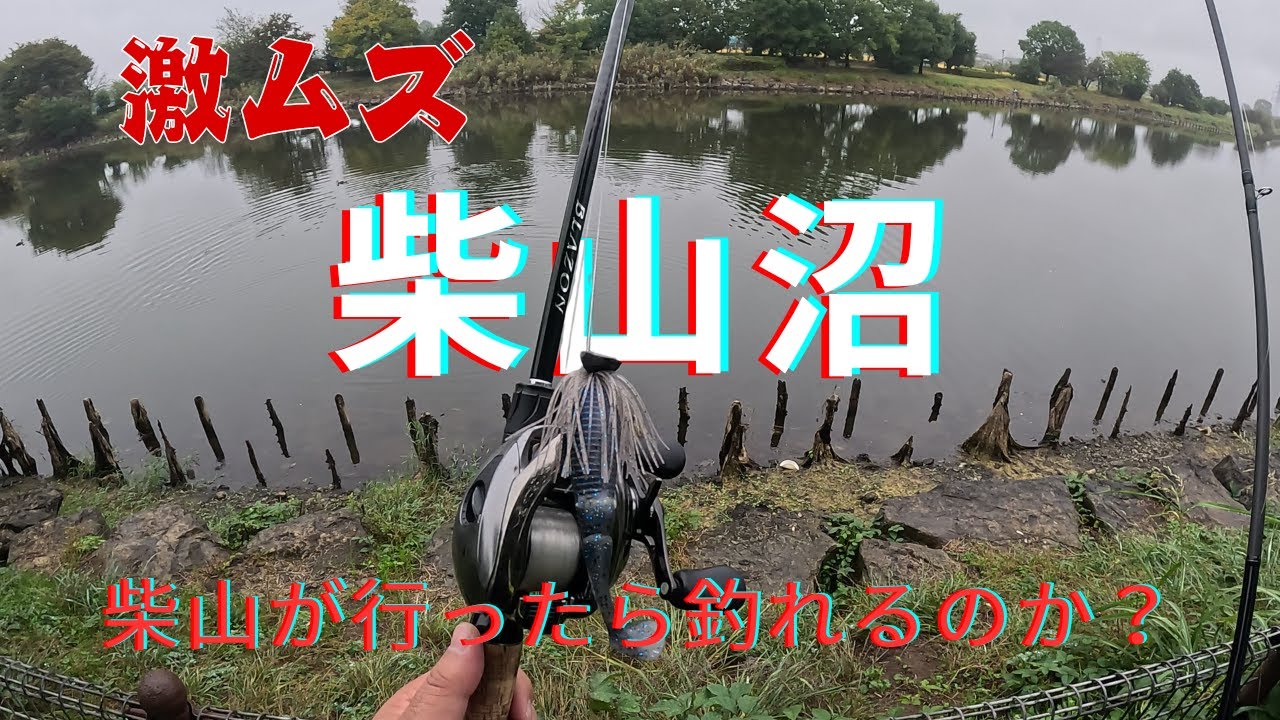 【柴山沼 埼玉の琵琶湖】激ムズの沼でバス釣り からの近くの野池に行ってみた #willitbite #バス釣り