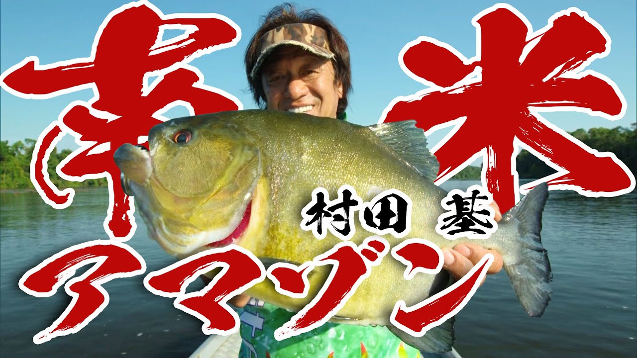 村田基が南米アマゾンで大暴れ!ここでしか見ることができない魚を釣りまくる! 『魚種格闘技戦!178』【釣りビジョン】