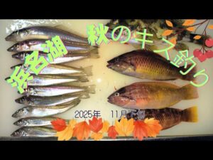 2025年秋のキス釣り【浜名湖釣り】　＃キス釣り　＃浜名湖釣り