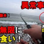 【茨城県某所】晩秋の海で異常事態発生！特大青物無限に入れ食い！関東地方の太平洋側に面している砂浜エリア（鹿島灘サーフ）で、ルアー釣りのショアジギングの特訓をしていたら…！【2025年11月中旬〜下旬】