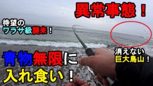 【茨城県某所】晩秋の海で異常事態発生!特大青物無限に入れ食い!関東地方の太平洋側に面している砂浜エリア(鹿島灘サーフ)で、ルアー釣りのショアジギングの特訓をしていたら…!【2025年11月中旬〜下旬】
