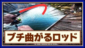 バス釣りやめて管理釣り場行ったら“事件”起きた【フィッシャーリゾート庄原】