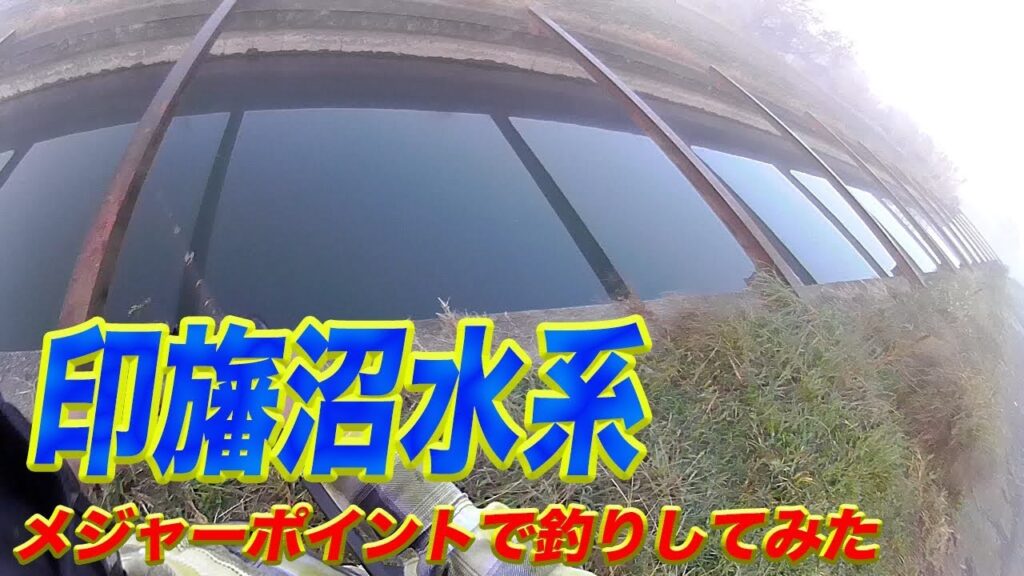 印旛沼水系のメジャーポイントで釣りしてみた結果... #印旛沼#バス釣り