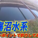 印旛沼水系のメジャーポイントで釣りしてみた結果... #印旛沼#バス釣り