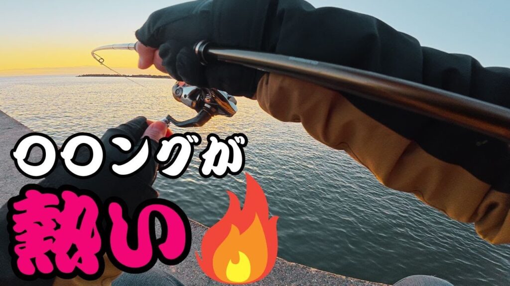 【遠州灘】激混みの漁港で誰も狙ってない魚を狙ってみたら・・・