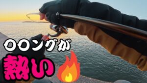 【遠州灘】激混みの漁港で誰も狙ってない魚を狙ってみたら・・・