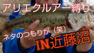 【近藤沼】【バス釣り 春】激安のアリエクスプレスルアー縛りでバス釣りしたらまさかの釣果に!