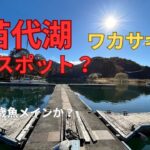 猪苗代湖でワカサギ釣り_新しい場所で釣果はどうか？今年は当歳魚メインな感じ