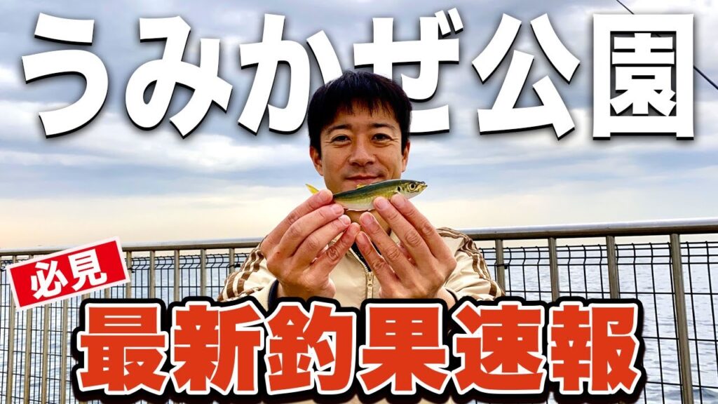 【横須賀うみかぜ公園】行く前に絶対見て！色々釣れるけど厳しい現実が... 太刀魚は完全終了