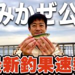 【横須賀うみかぜ公園】行く前に絶対見て！色々釣れるけど厳しい現実が... 太刀魚は完全終了