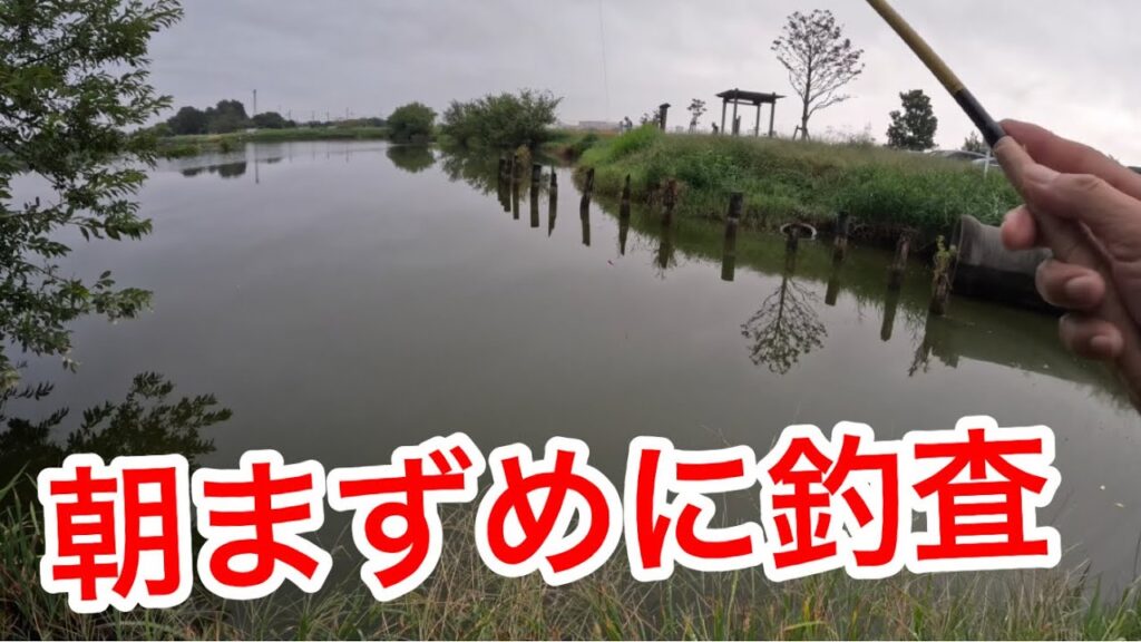 「朝まずめに釣査」　#山ノ神沼　#釣り