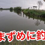 「朝まずめに釣査」　#山ノ神沼　#釣り