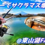 このルアー、ミノーイング方法で東山湖フィッシングエリア爆釣