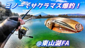 このルアー、ミノーイング方法で東山湖フィッシングエリア爆釣