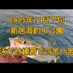ウキ泳がせで四苦八苦　浜名湖　新居海釣り公園　