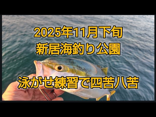 ウキ泳がせで四苦八苦　浜名湖　新居海釣り公園　