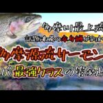 【管理釣り場】小菅フィッシングヴィレッジで話題の赤身サーモンを狙ってきた!!