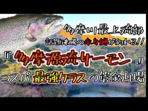 【管理釣り場】小菅フィッシングヴィレッジで話題の赤身サーモンを狙ってきた!!